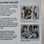 timeline svm and plaque 1 copy copy