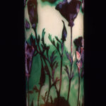 13 California poppy #7