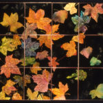 4 Autumn 2